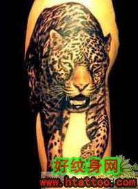 威猛的老虎_纹身图案大全_纹身图片_动物纹身图案大全_纹身图吧