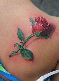 推荐一款肩膀玫瑰花纹身图案_玫瑰花纹身图案大全_纹身图吧