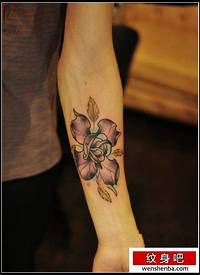 漂亮的玫瑰花扇子纹身图案_玫瑰花纹身图案大全_纹身图吧