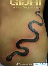 无毒蝎子纹身_动物纹身图案大全_纹身图吧