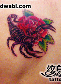 色彩渲染玫瑰花纹身_玫瑰花纹身图案大全_纹身图吧