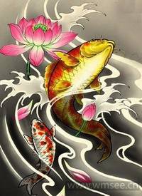 中国传统鲤鱼纹身手稿_鲤鱼纹身图案大全_纹身图吧